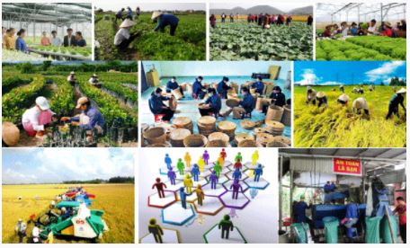  Kế hoạch phát triển kinh tế tập thể, hợp tác xã tỉnh Đắk Lắk năm 2022